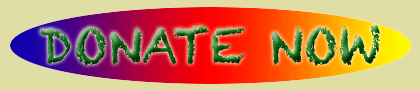 donate-button-plus-yellow