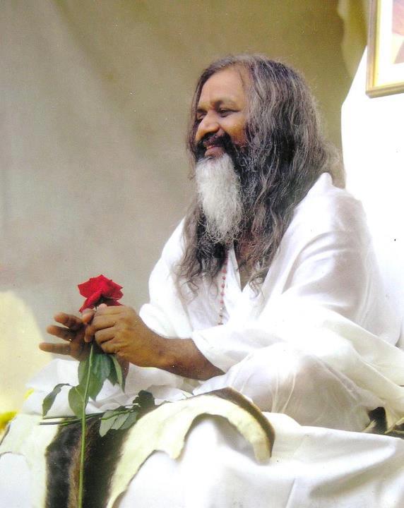 Maharishi & rose