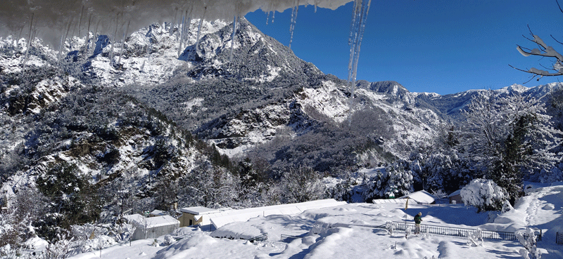 White winter at Maharishi ashram Gajoli 2019-2020